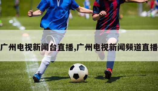 广州电视新闻台直播,广州电视新闻频道直播