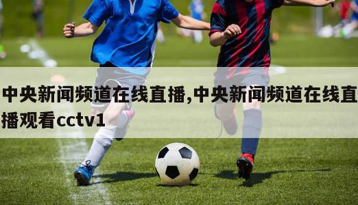 中央新闻频道在线直播,中央新闻频道在线直播观看cctv1