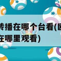 欧洲杯转播在哪个台看(欧洲杯直播频道在哪里观看)