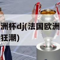 法国欧洲杯dj(法国欧洲杯上掀起音乐狂潮)