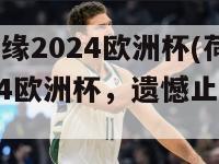 荷兰无缘2024欧洲杯(荷兰无缘2024欧洲杯，遗憾止步预选赛)