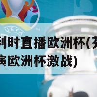 芬兰比利时直播欧洲杯(芬兰与比利时上演欧洲杯激战)