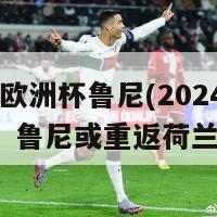 2024年欧洲杯鲁尼(2024欧洲杯：鲁尼或重返荷兰国家队)