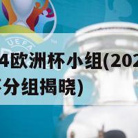 2024欧洲杯小组(2024欧洲杯分组揭晓)