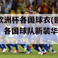 2024欧洲杯各国球衣(欧洲杯2024：各国球队新装华丽亮相)