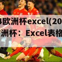 2024欧洲杯excel(2024欧洲杯：Excel表格详解)