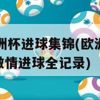 98欧洲杯进球集锦(欧洲杯98年：激情进球全记录)