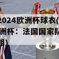 法国队2024欧洲杯球衣(2024年欧洲杯：法国国家队新球衣首次亮相)