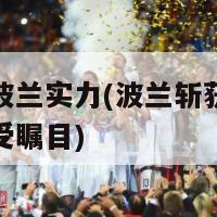 欧洲杯波兰实力(波兰斩获欧洲杯实力备受瞩目)