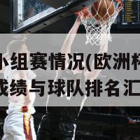 欧洲杯小组赛情况(欧洲杯小组赛：比赛成绩与球队排名汇总)