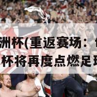 fifa欧洲杯(重返赛场：fifa欧洲杯将再度点燃足球热潮)