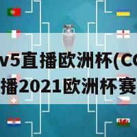 cctv5直播欧洲杯(CCTV5直播2021欧洲杯赛事)