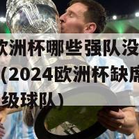 2024欧洲杯哪些强队没有参加世界杯(2024欧洲杯缺席世界杯的顶级球队)