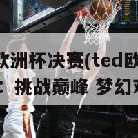 ted欧洲杯决赛(ted欧洲杯决赛：挑战巅峰 梦幻对决)