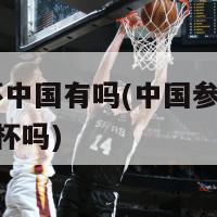 欧洲杯中国有吗(中国参加2021欧洲杯吗)